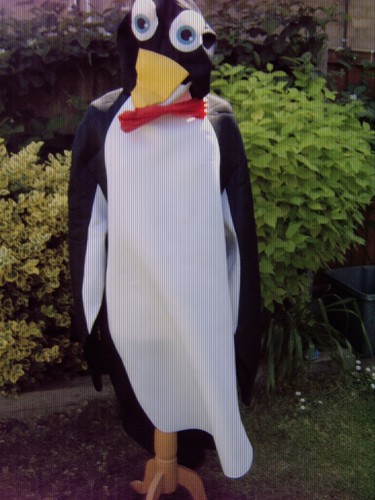 Christmas adult penguin - christmas,
