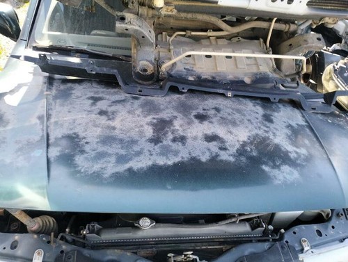 Bonnet suzuki grand vitara - grand,