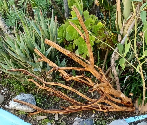 Set large driftwood - set,