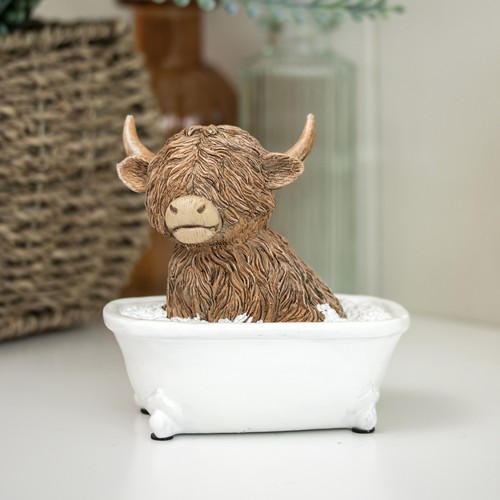 Highland cow the bath - cow, in