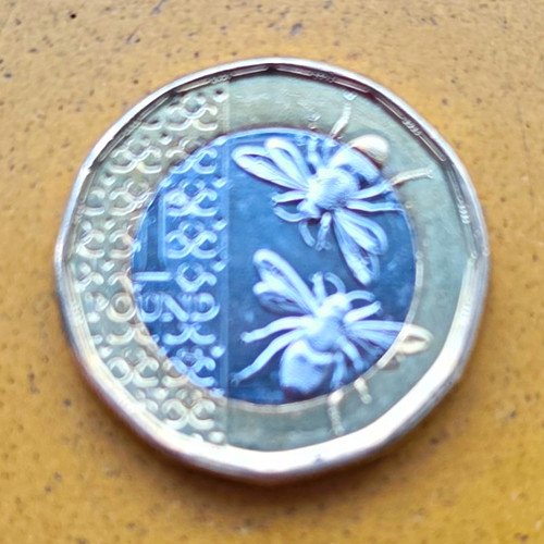 One pound coin - coin, 2023