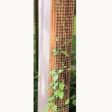 9 Foot Tall Narrow Trellis For