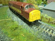 Bachmann Class 37 (EWS Livery)