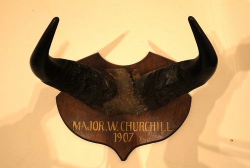 19th mounted cape - 19th, c