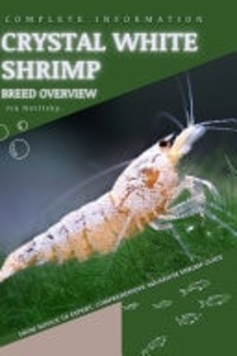 Crystal white shrimp from - crystal,