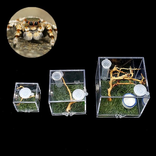 1set small spider ant farm - small,