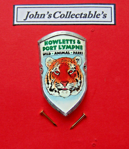 Howletts port lympne animal - howletts,