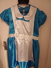 Alice In Wonderland Adult