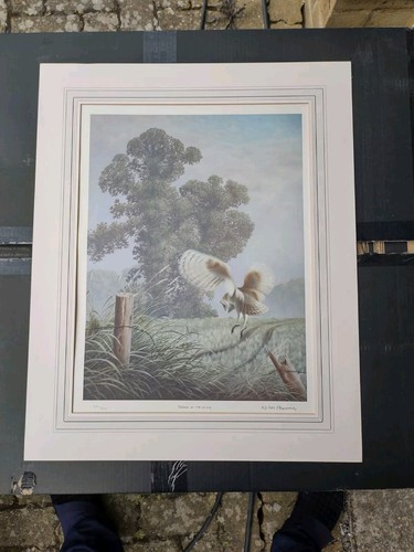 Nigel hemming spirit - hemming,