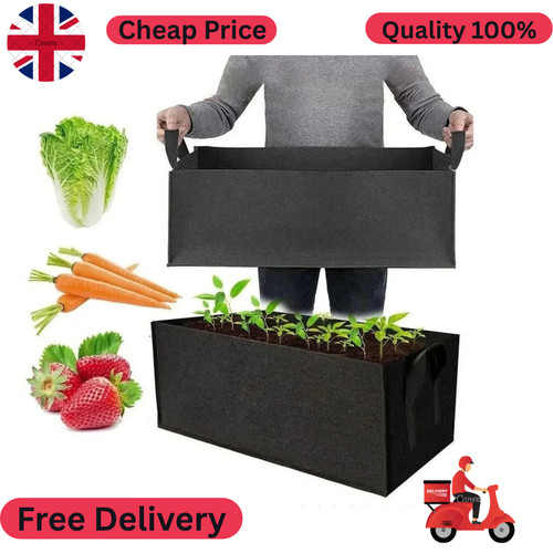 Large plant tree pot container - plant,