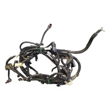 Peugeot E-2008 P24 Wiring Loom