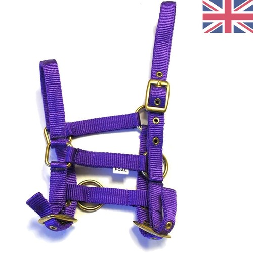 Nylon foal headcollar - nylon,