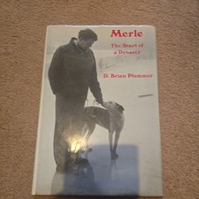 Merle: The Start of a Dynasty