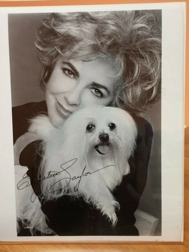Elizabeth taylor autographed - elizabeth,