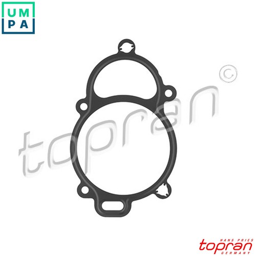 Seal camshaft adjustment 117 - camshaft,