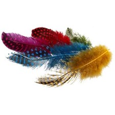 Guinea Fowl Feathers Craft  Hat Decoration Approx.100 Pieces Assorted Colours 3g