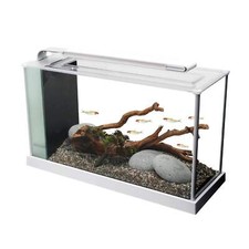 Fluval Spec 19 Litre Aquarium
