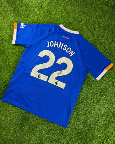 Brennan johnson signed everton - brennan,