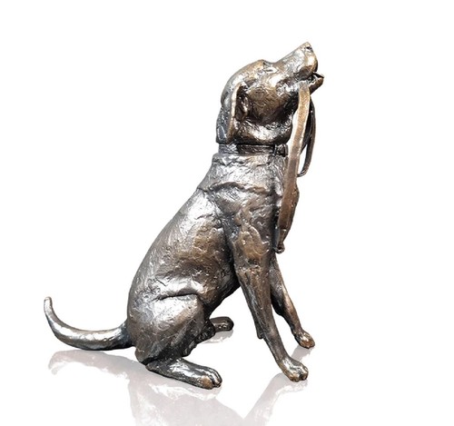 Richard cooper medium labrador - richard,