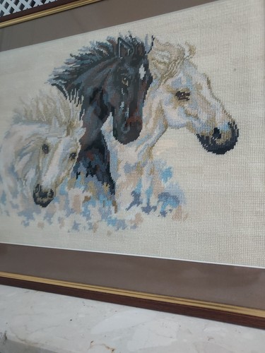 Three wild horses - three, framed