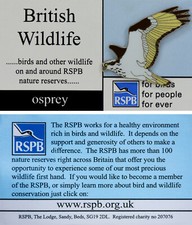 RSPB Pin Badge FBFPFE British