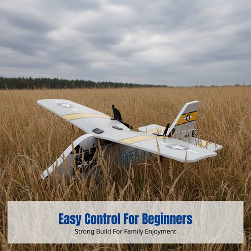 Electric glider foam fixed - rc,