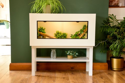 3ft modern white reptile - modern,