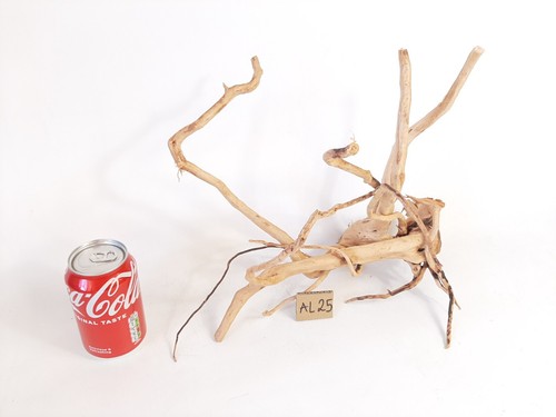 Fish tank driftwood aquarium - fish,