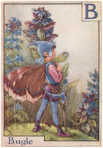Bugle fairy by - b,