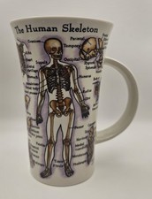 Dunoon The Human Body Skeleton