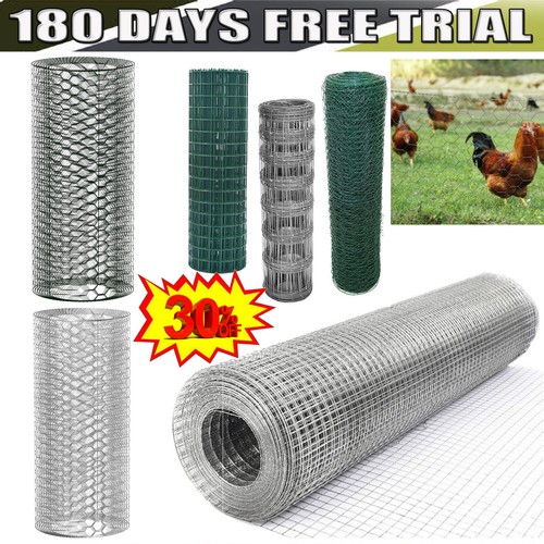Galvanised pvc coated chicken - coated,