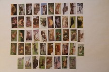 Hornimans Tea 1958 Wild