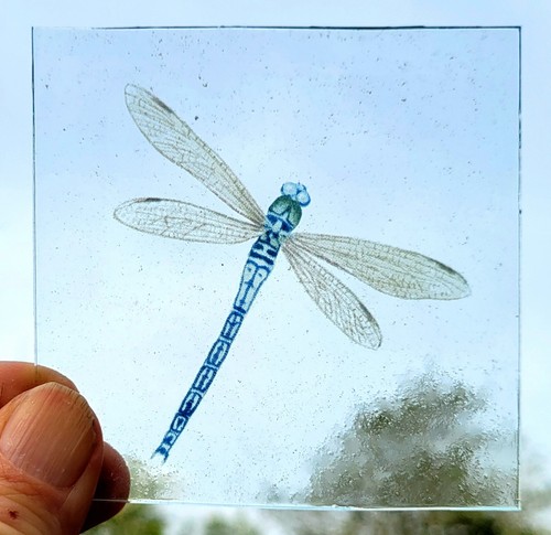 Stained glass dragonfly piece - glass,