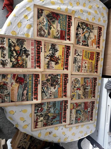 The hornet comics issues - the,