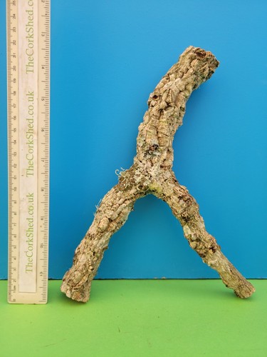 Cork bark branch 23cm - cork,