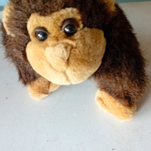 Plush monkey soft - soft, toy