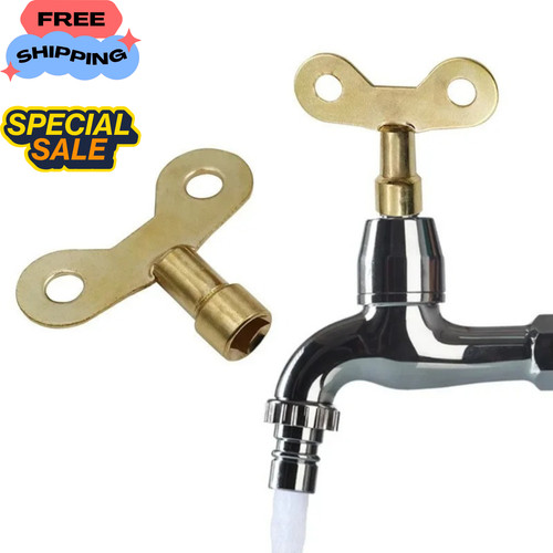 Solid brass radiator bleed - x,