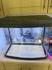 Love Fish Panorama Aquarium