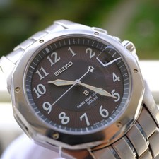 Seiko BRIGHTZ Titanium Watch