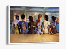 Pink floyd painted back - pink,