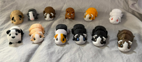 New guinea pig - new, printed