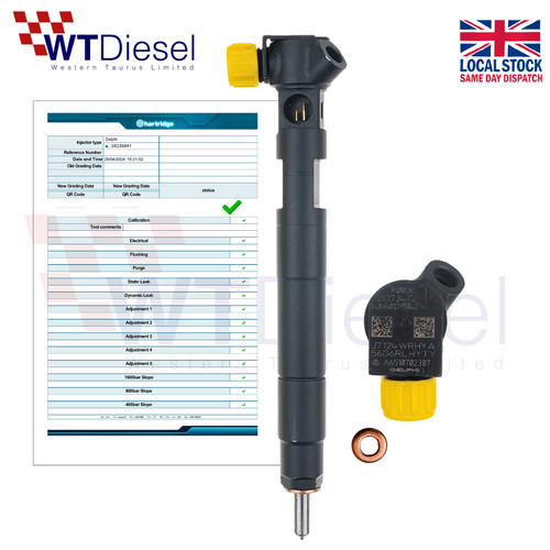 Delphi diesel fuel - delphi,