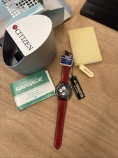 Citizen Vintage Promaster