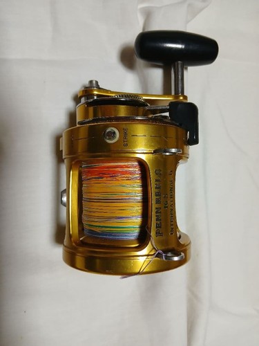 Penn international 16s - penn, 2-speed