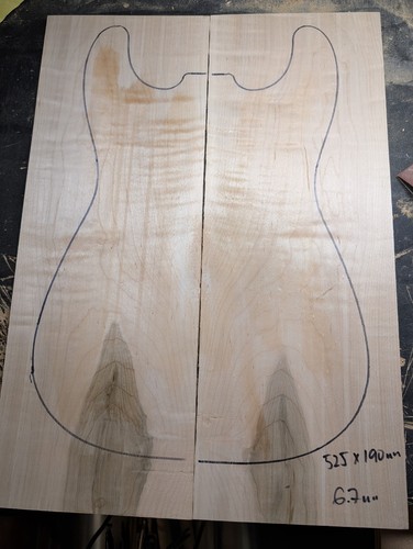 American curly maple - drop, top
