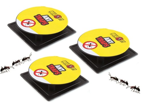 Ant traps bait station - ant,