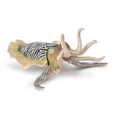 CollectA Common Cuttlefish