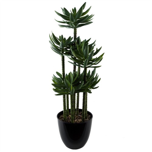 Artificial tropical yukka - tropical,
