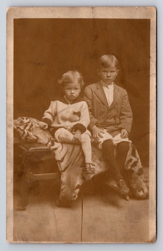 Children tiger skin pelt - on,