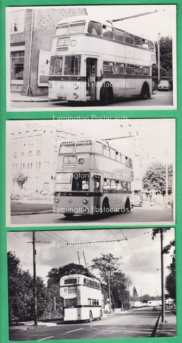 Photo prints - photo,